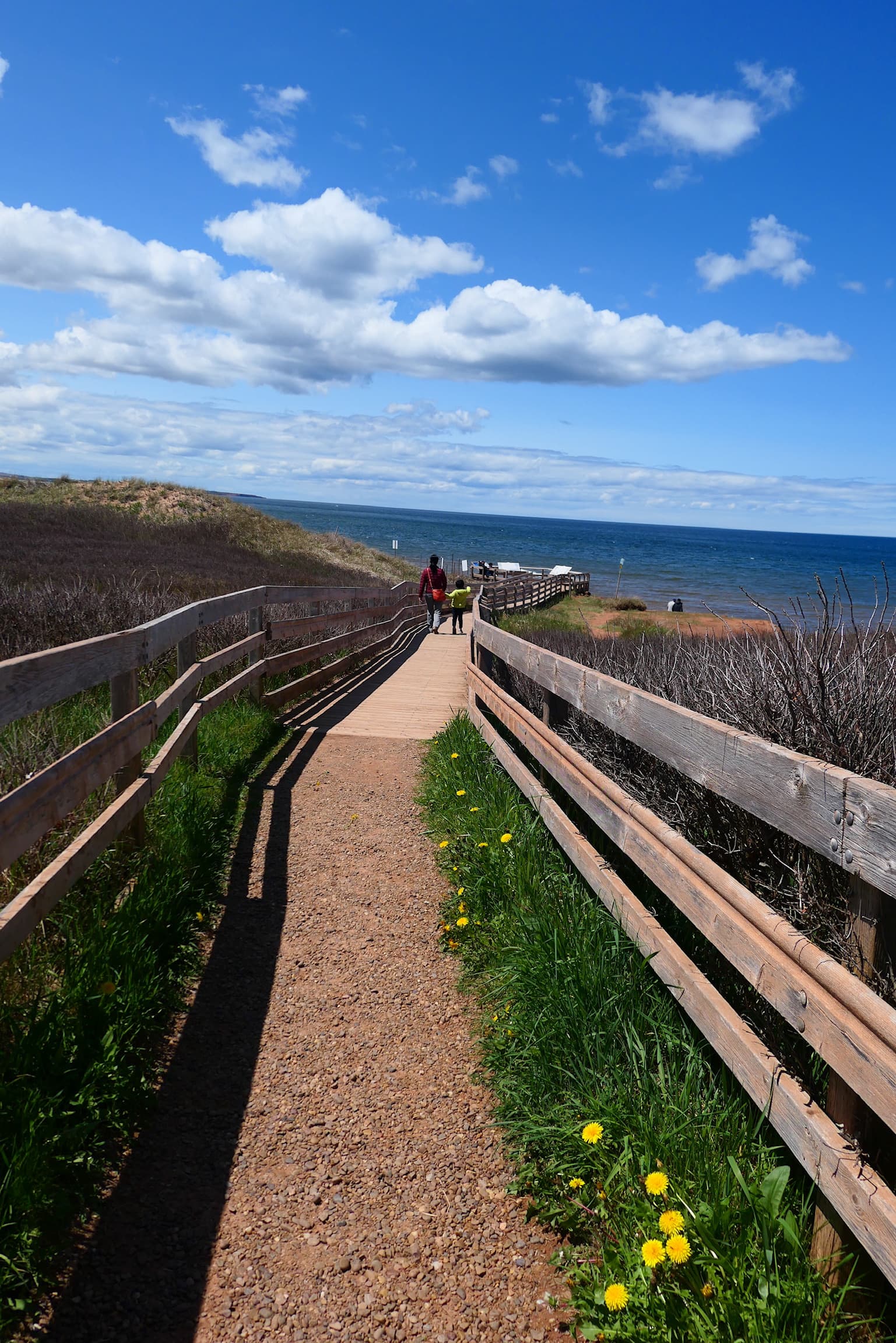 ポートフォリオサイトをアップデートしました
